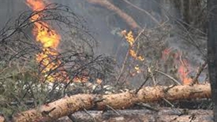 Russie les feux de forêt en recul